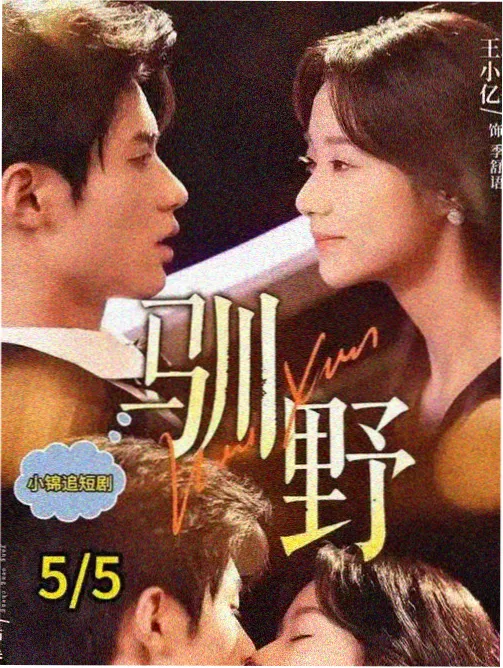 午夜电影网犯罪剧《潮汐档案》海报